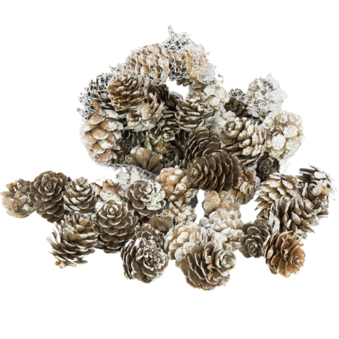 [59047] Szyszki dekoracyjne oszronione 2,5-3,5cm 72szt
