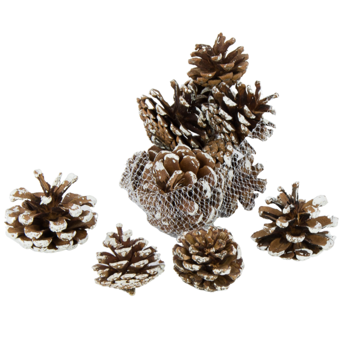 [59049] Szyszki dekoracyjne sosnowe oszronione 4-5cm 12szt