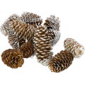 [59048] Szyszki dekoracyjne oszronione 6-8cm 12szt