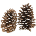 [59050] Szyszki dekoracyjne oszronione 11-13cm 2szt