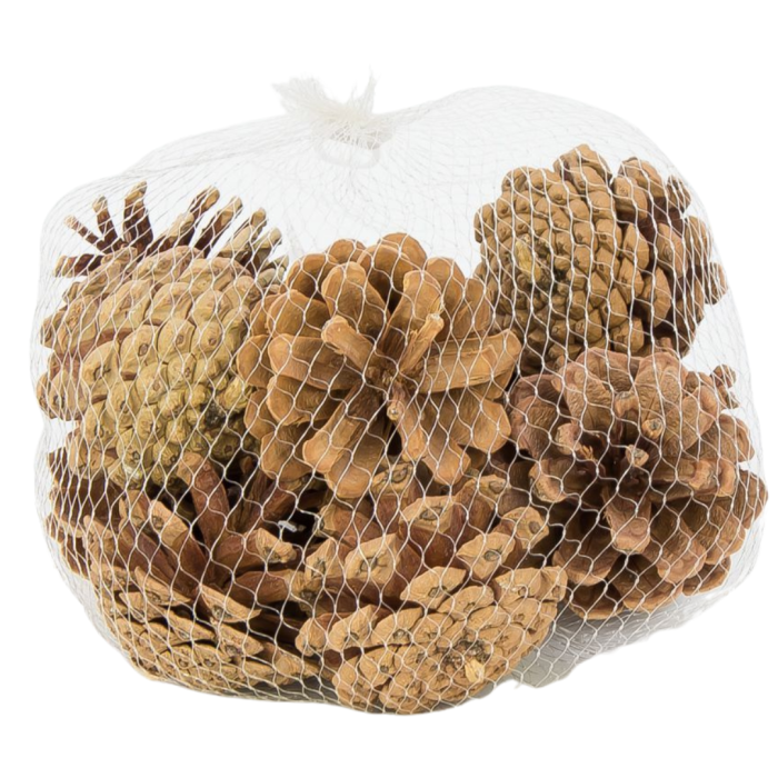 [59051] Szyszki dekoracyjne naturalne sosnowe 5,5cm 12szt