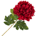 [680598] Chryzantema na gałązce 78cm czerwona