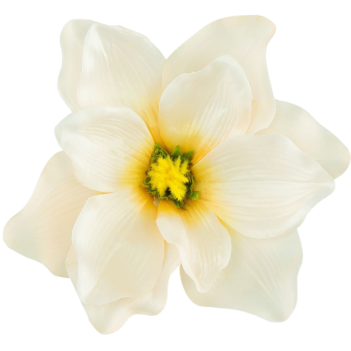 [w04029] Główka kwiatowa magnolia 18cm jasnobeżowa