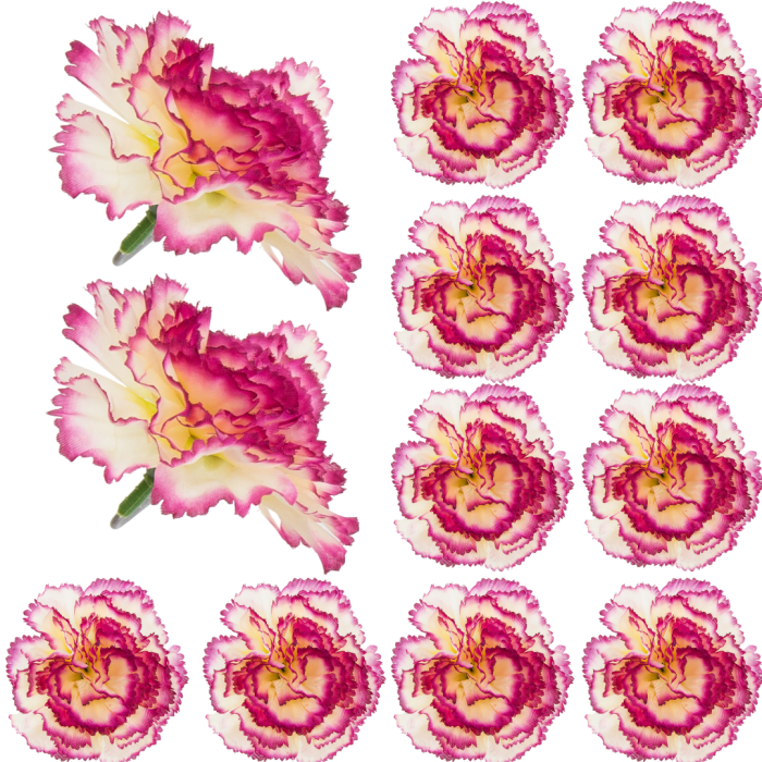 [w04009] Goździk główka 9cm kremowo-jagodowa 12szt