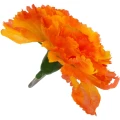 [w04010] Goździk główka 9cm pomarańczowa 12szt