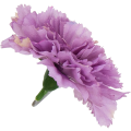 [w04014] Goździk główka 9cm wrzosowa 12szt