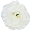 [w04017] Róża główka 13cm ecru