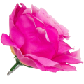 [w04025] Róża główka 13cm ciemno-różowa
