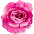 [w04025] Róża główka 13cm ciemno-różowa