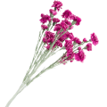 [w0555] Gałązka kwiatowa goździk satynowy 72cm purpurowy
