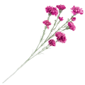 [w0555] Gałązka kwiatowa goździk satynowy 72cm purpurowy