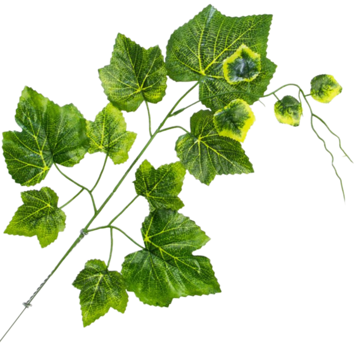 [w0457] Gałązka z listkami winogron 55cm ciemnozielony