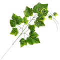 [w0457] Gałązka z listkami winogron 55cm ciemnozielony