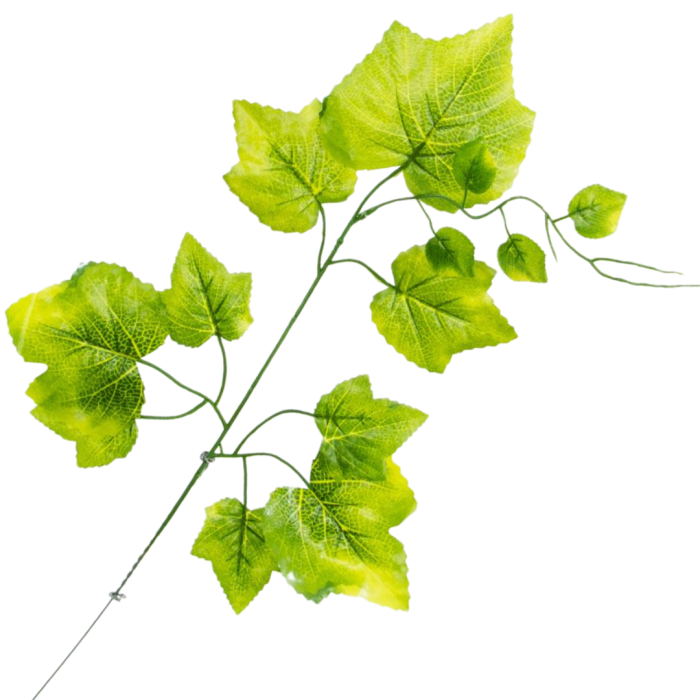 [w0456] Gałązka z listkami winogron 55cm jasnozielony
