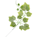 [w0460] Gałązka z listkami winogron 55cm omszały