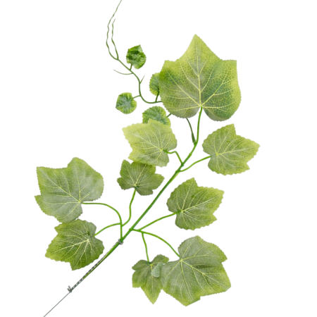[w0460] Gałązka z listkami winogron 55cm omszały