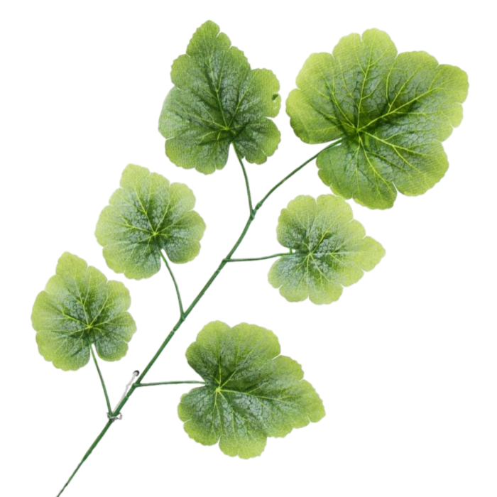 [680415] Gałązka zielona omszała geranium 60cm