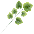 [680415] Gałązka zielona omszała geranium 60cm