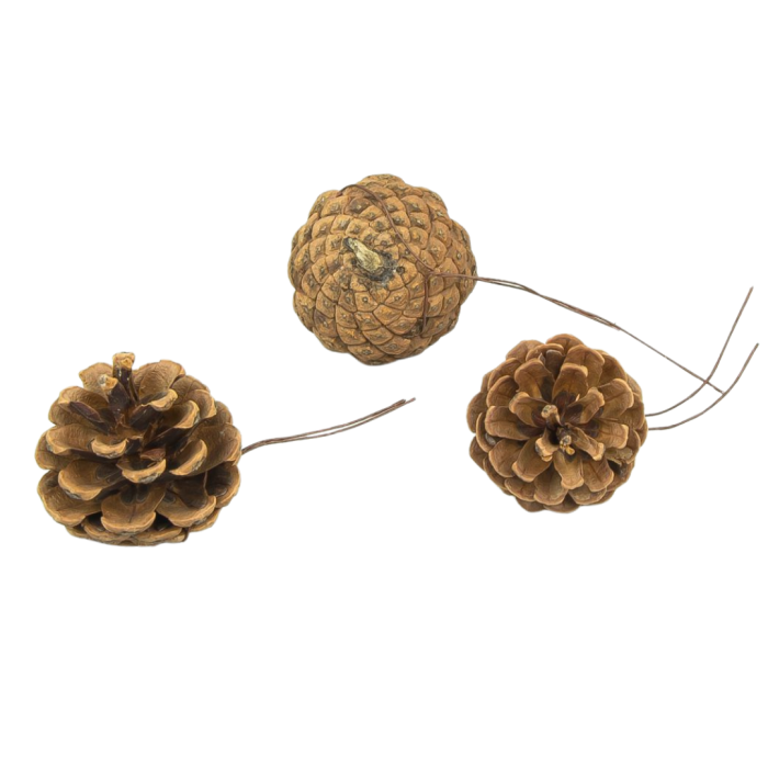 [59068] Szyszki dekoracyjne sosnowe naturalne na druciku 4-5cm 12szt