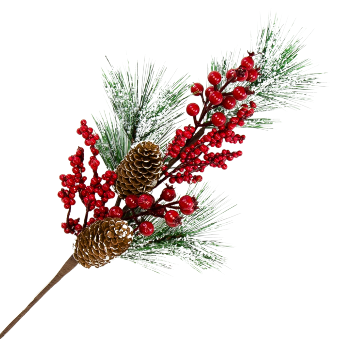 [680658] Długa gałązka świerku ośnieżona z  podłużnymi szyszkami i kuleczkami