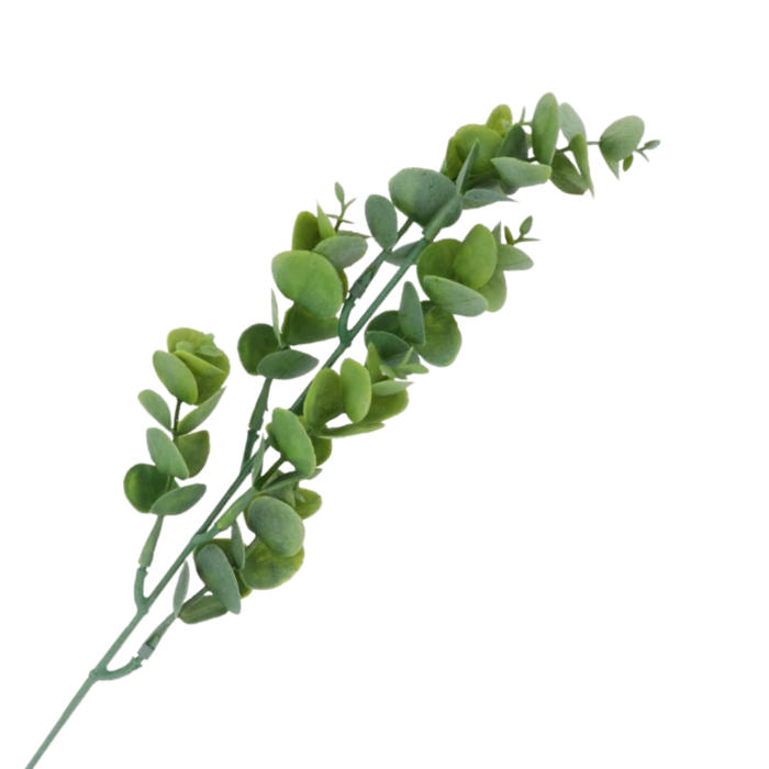 [680702] Gałązka eukaliptusa zielona cieniowana 50cm