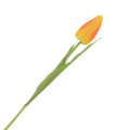 [w04036] Tulipan na gałązce 50cm żółto-pomarańczowy
