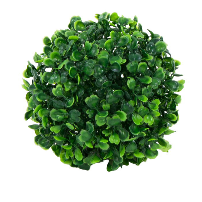 [608248] Kula z bukszpanu dwie połówki 15cm