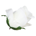 [w0433] Róża główka 9cm biała