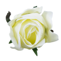 [w0434] Róża główka 9cm kremowa