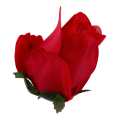 [w0440] Róża główka 9cm czerwona