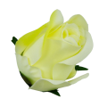 [w04056] Róża główka 9cm kremowo-limonkowa