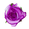 [w04062] Róża główka 9cm fioletowo-biała