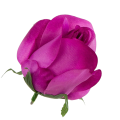 [w04063] Róża główka 9cm biskupia cieniowana