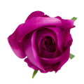 [w04063] Róża główka 9cm biskupia cieniowana