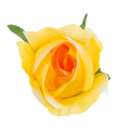[w04060] Róża główka 9cm żółto-pomarańczowo-biała