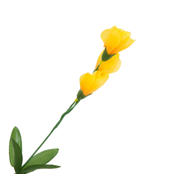 [680739 ] Gałązka kwiatowa krokus żółty