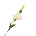 [680742] Gałązka kwiatowa eustoma kremowo-różowa