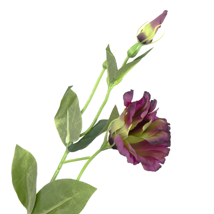 [680749] Gałązka kwiatowa eustoma bordowo-zielona