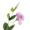 [680747] Gałązka kwiatowa eustoma lawendowa