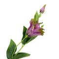 [680745] Gałązka kwiatowa eustoma fioletowa cieniowana