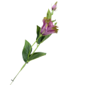 [680745] Gałązka kwiatowa eustoma fioletowa cieniowana