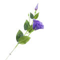 [680748] Gałązka kwiatowa eustoma fioletowa
