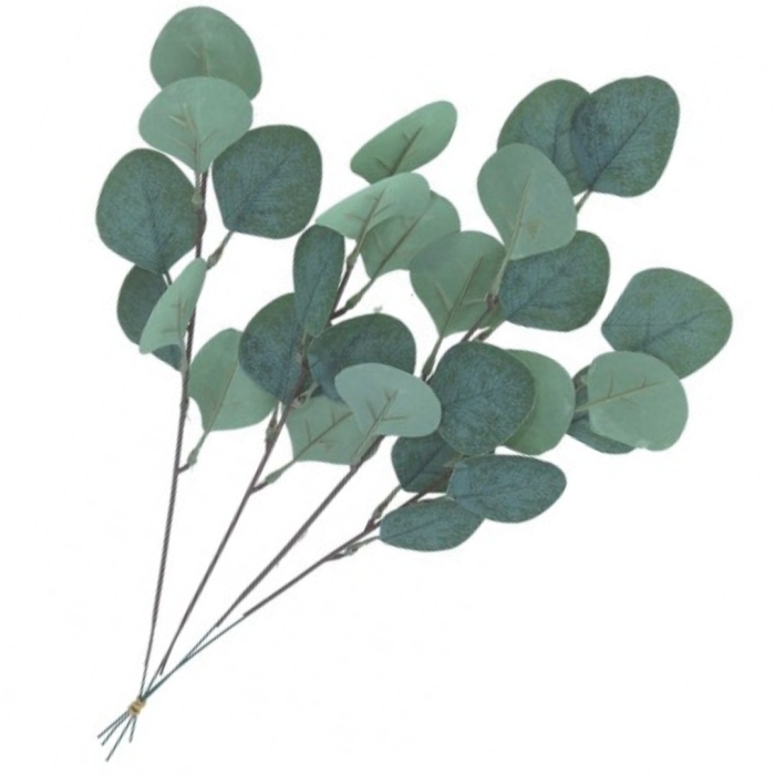 [680751] Gałązka pojedyncza eukaliptus szarozielony 40cm