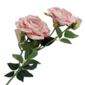 [w0557] Róże na gałązce 2 główki z pąkiem 60cm bladoróżowe