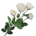 [w0558] Bukiet róż kremowy 62cm