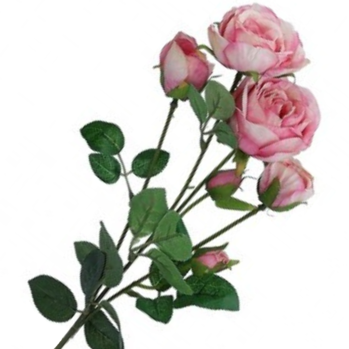 [w0559] Bukiet róż różowy 62cm