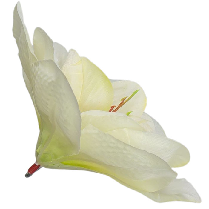 [w04143] Główka kwiatowa clivia 15-16cm pastelowożółta