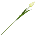 [w04149] Tulipan na gałązce 50cm kremowo-zielony