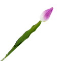 [w04154] Tulipan na gałązce 50cm fioletowo-biały