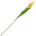 [w04151] Tulipan na gałązce 50cm blado-pomarańczowy